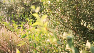 Masturbación en la playa pública y correrse en el cuerpo de la esposa